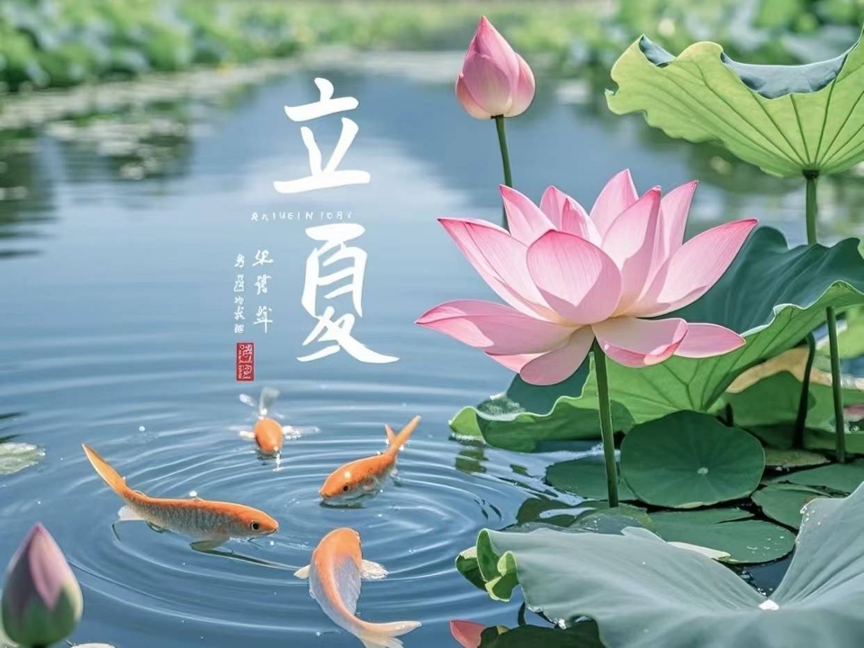 微信图片_20260502084655_3497_6.jpg