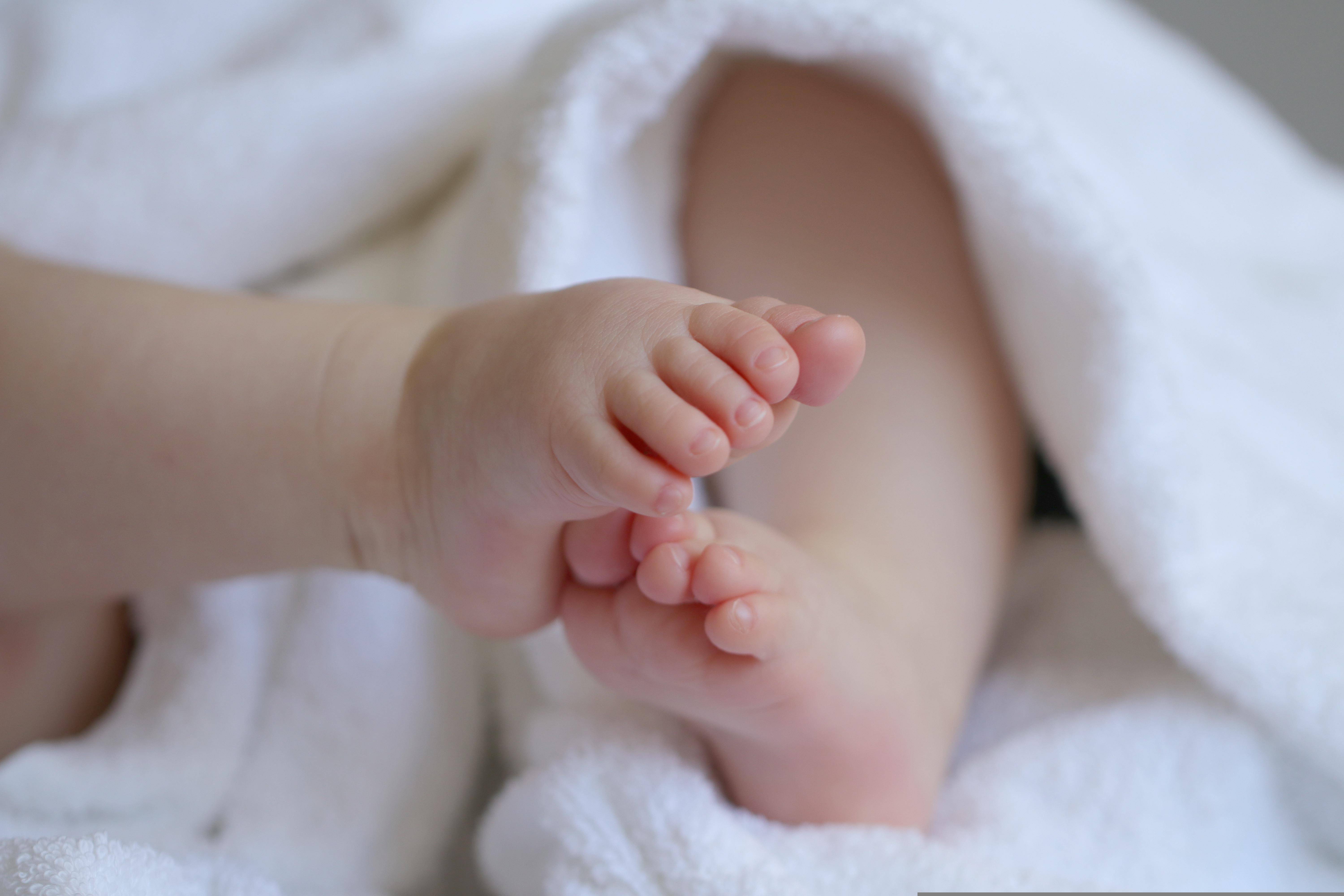 marjonhorn-baby-6823431.jpg