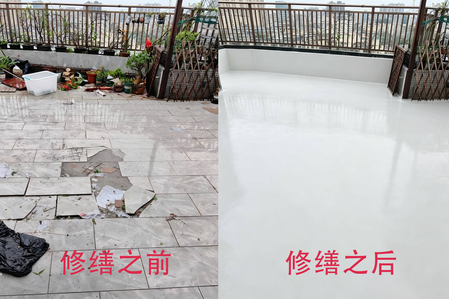 未标题-1.jpg