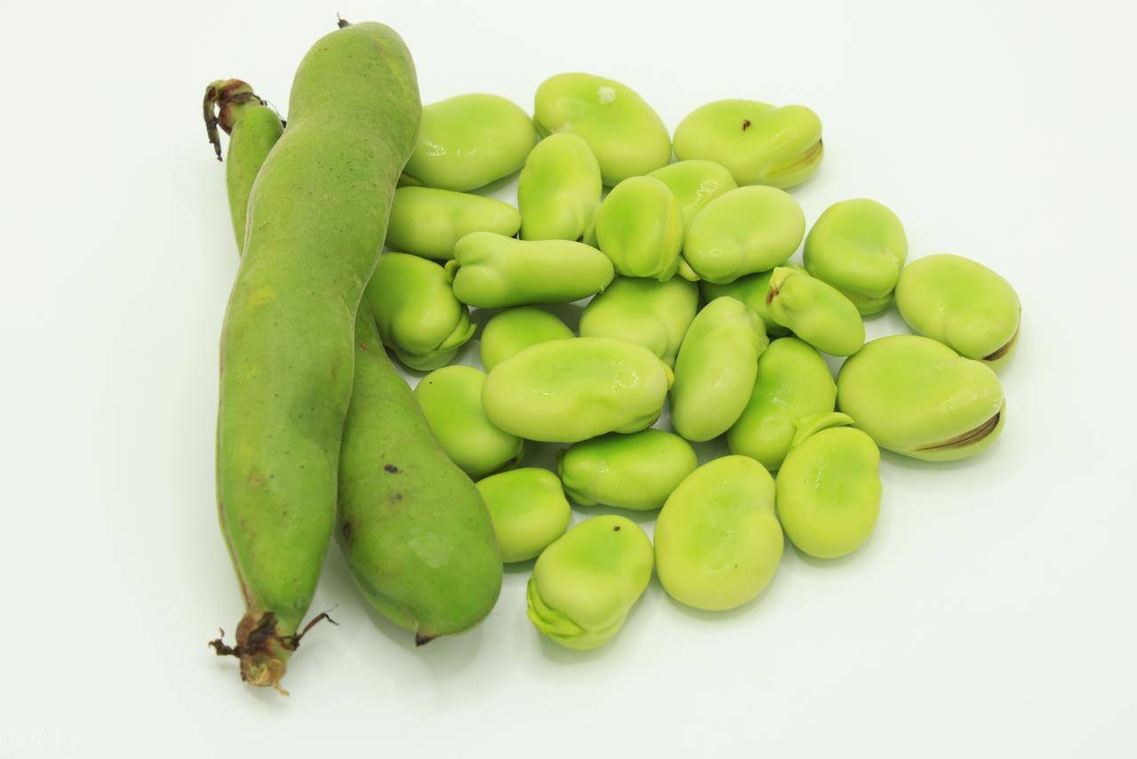 蚕豆.jpg