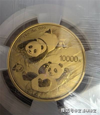 微信图片_20250616094019.jpg