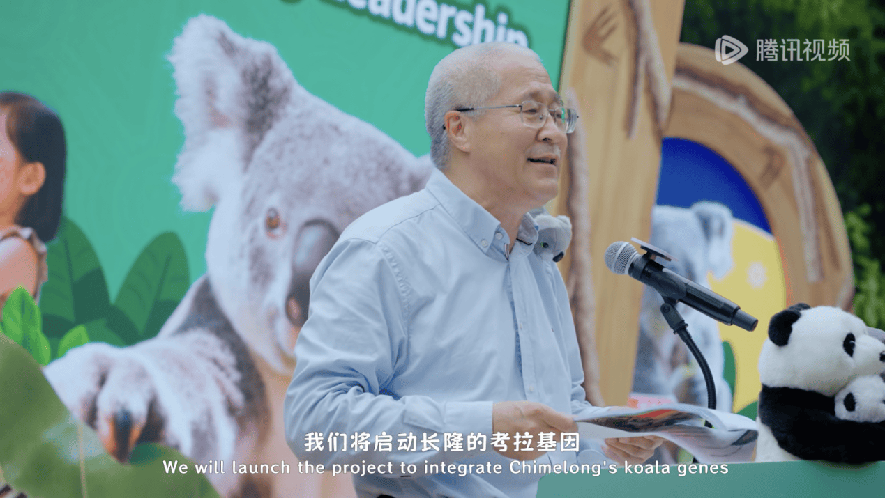 图片13.png