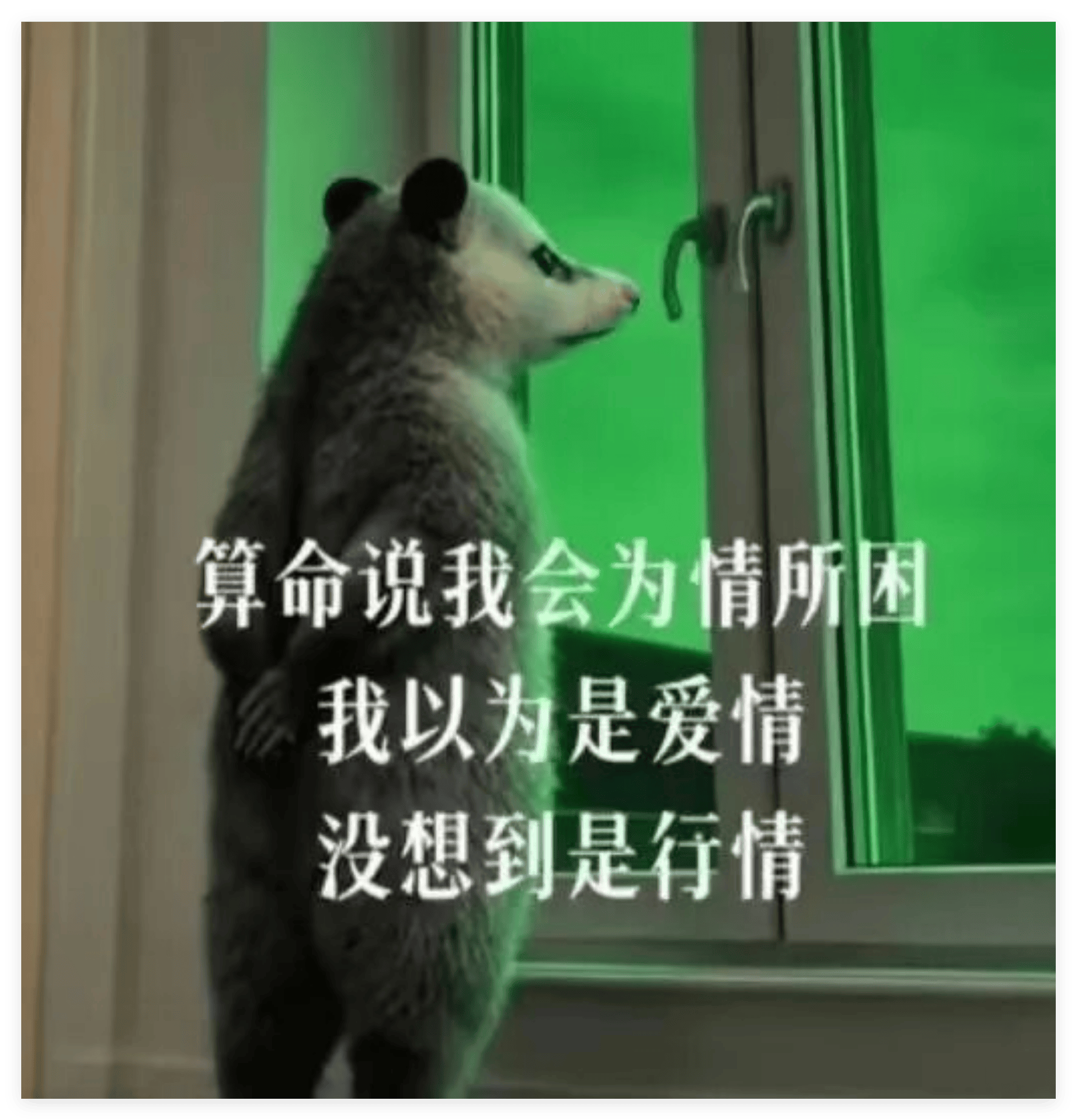 行情-1.png