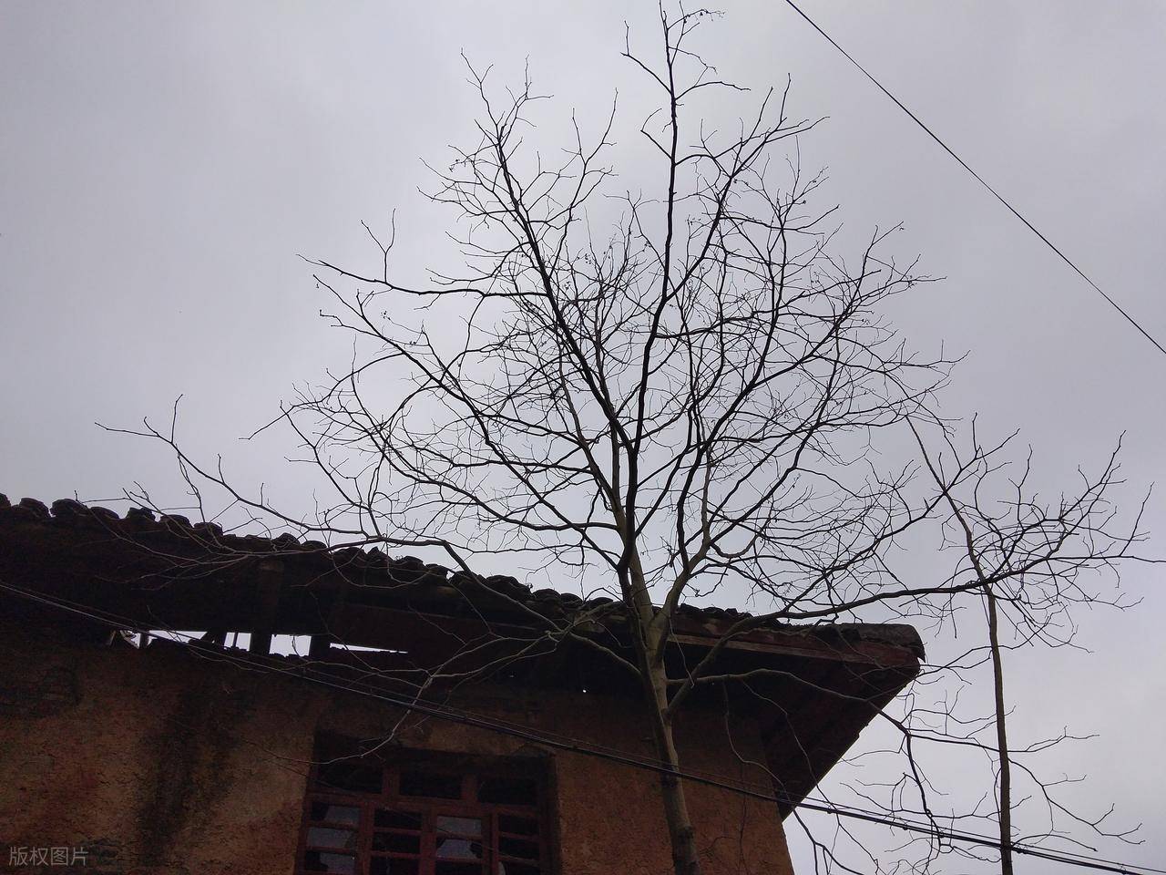 5463417f89b4421f84d2b1e5c97e27a3~tplv-tt-origin-web_gif.jpeg