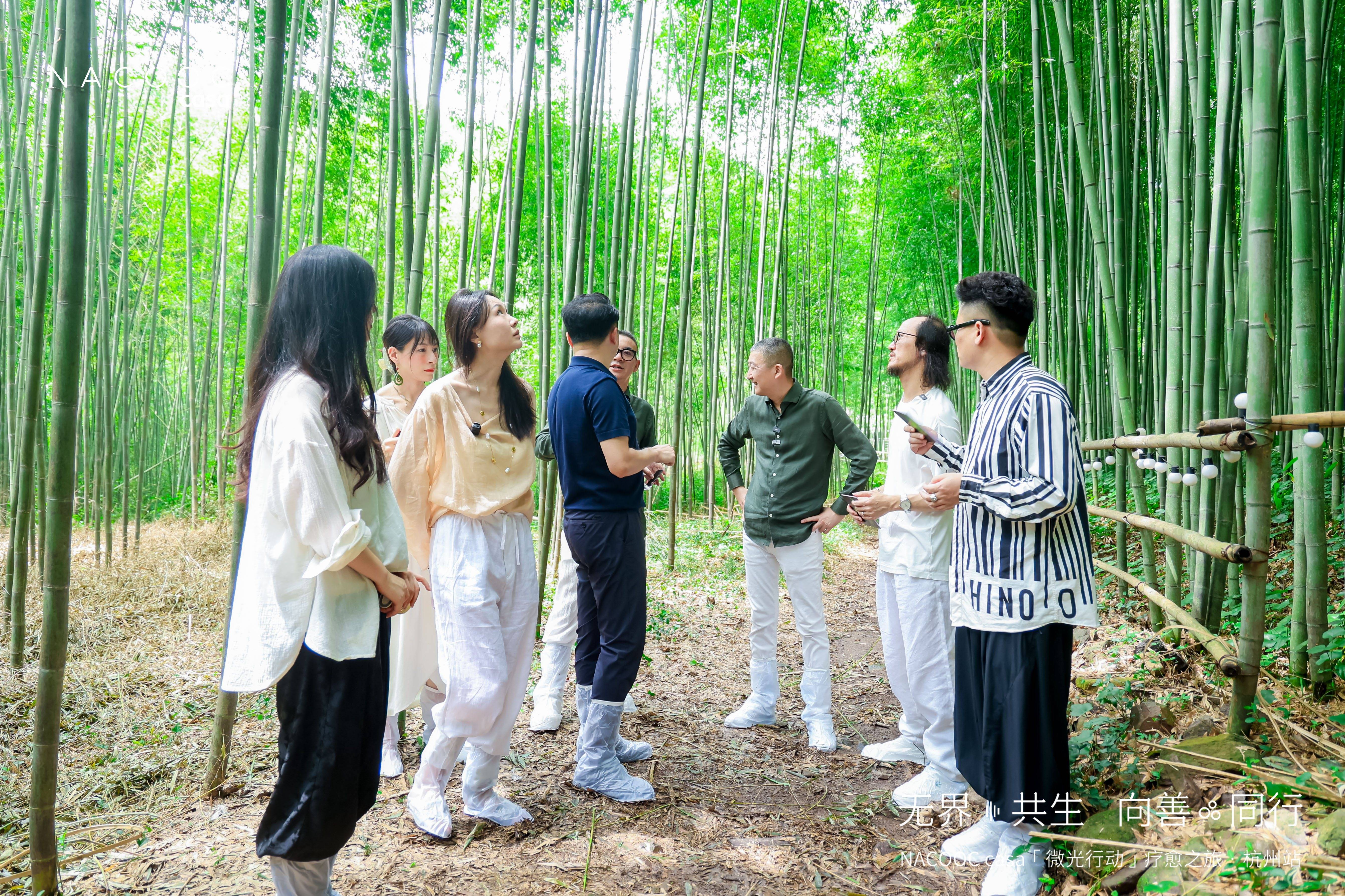 文章配图-7