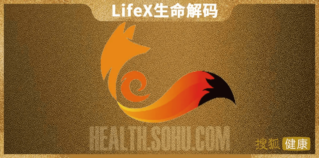 生命解码.png