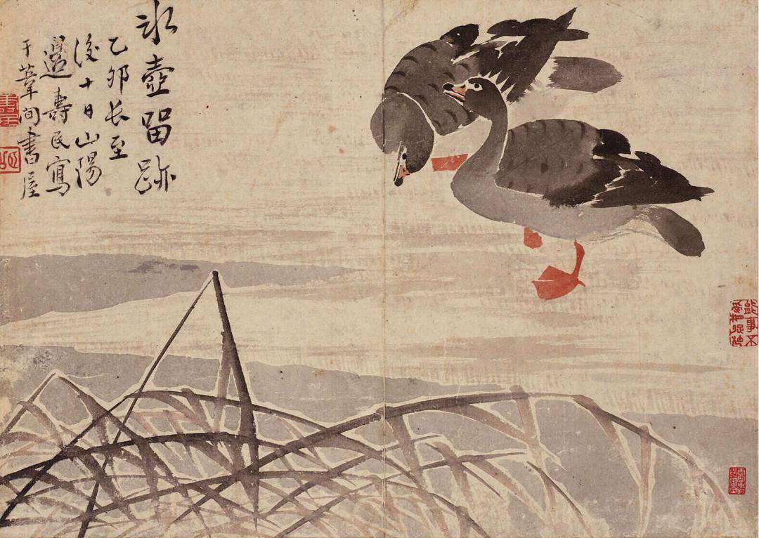 边寿民：自度前身是鸿雁，悲秋又爱绘秋声_芦雁