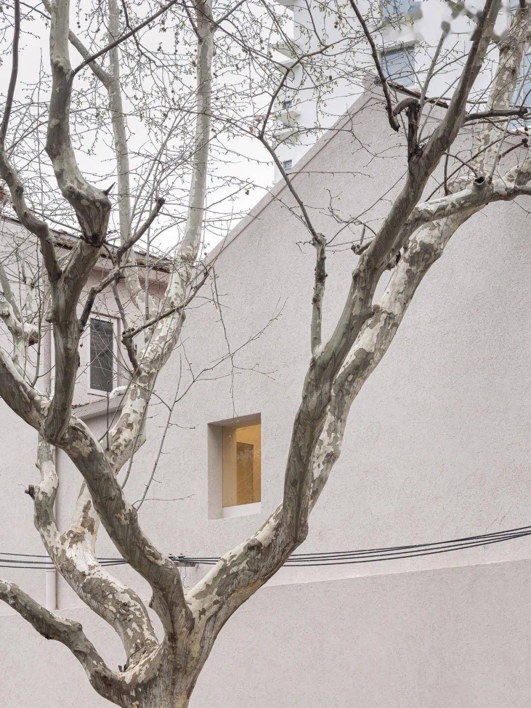 陈列设计 | some thoughts空间设计工作室主持设计师 | 李京泽设计师