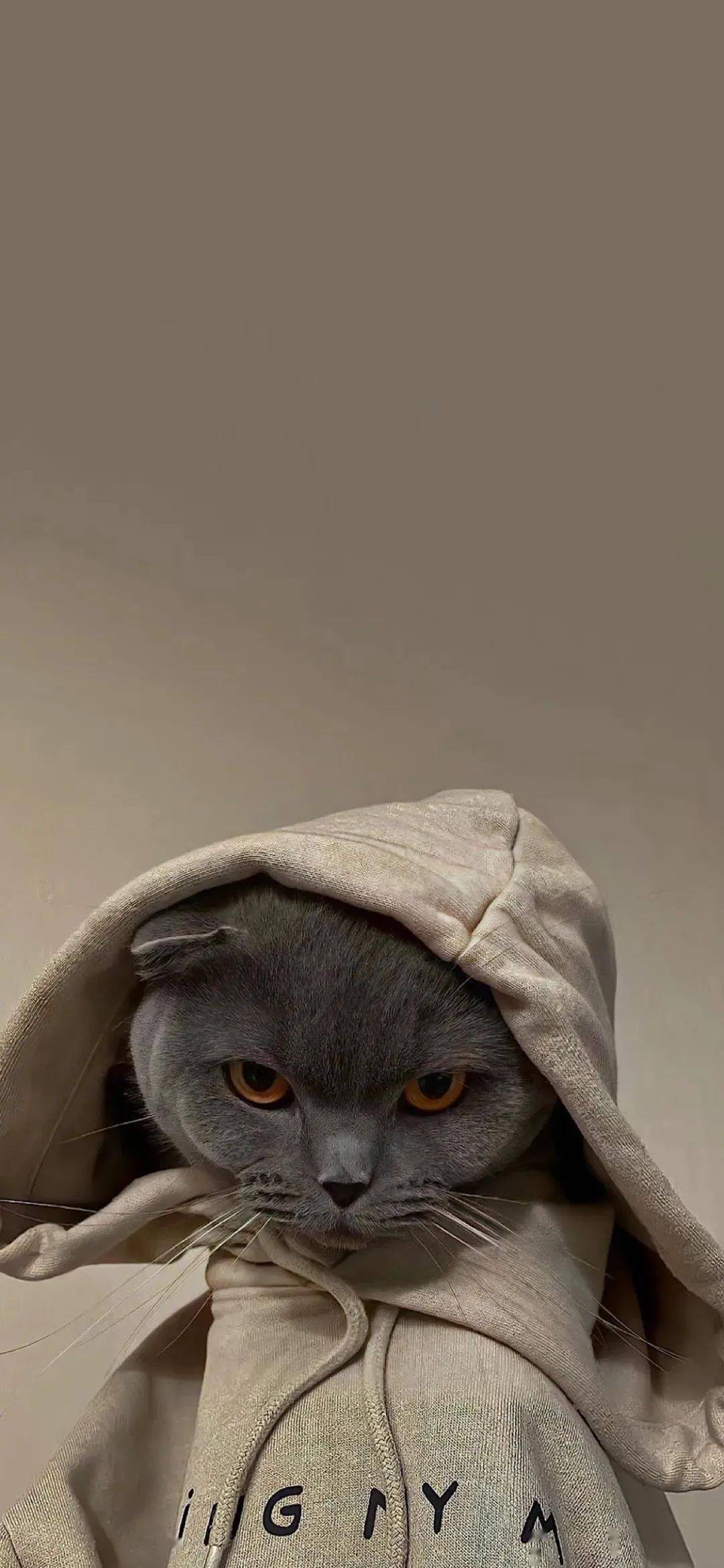 壁纸| 高级感ins风套图壁纸_手机