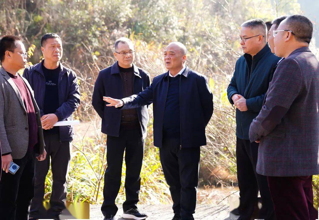 邓小强到上坪镇调研油茶基地建设情况_连平_工作_种植