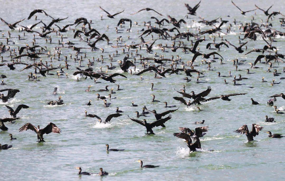 城市_山海_李忠