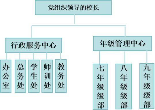 学校领导机构示意图图片