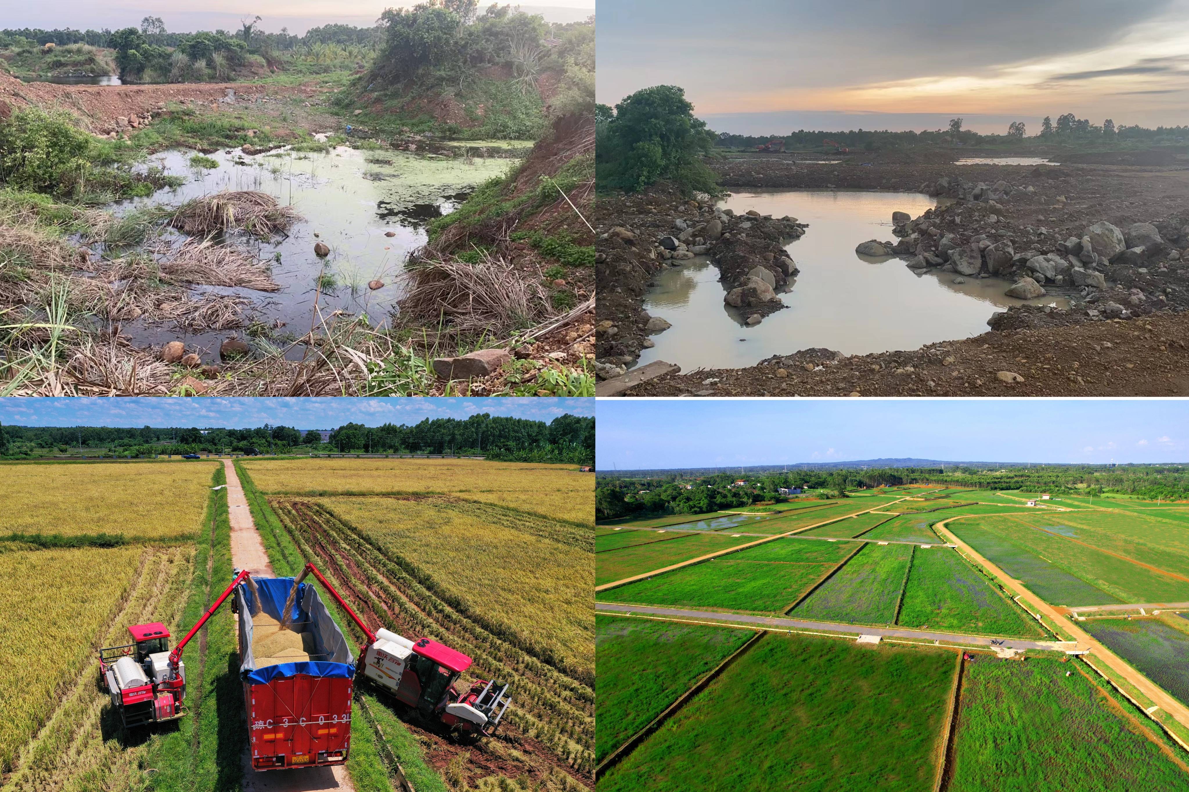 海南生态修复让石矿坑变成聚宝盆_新盈镇_临高_农业