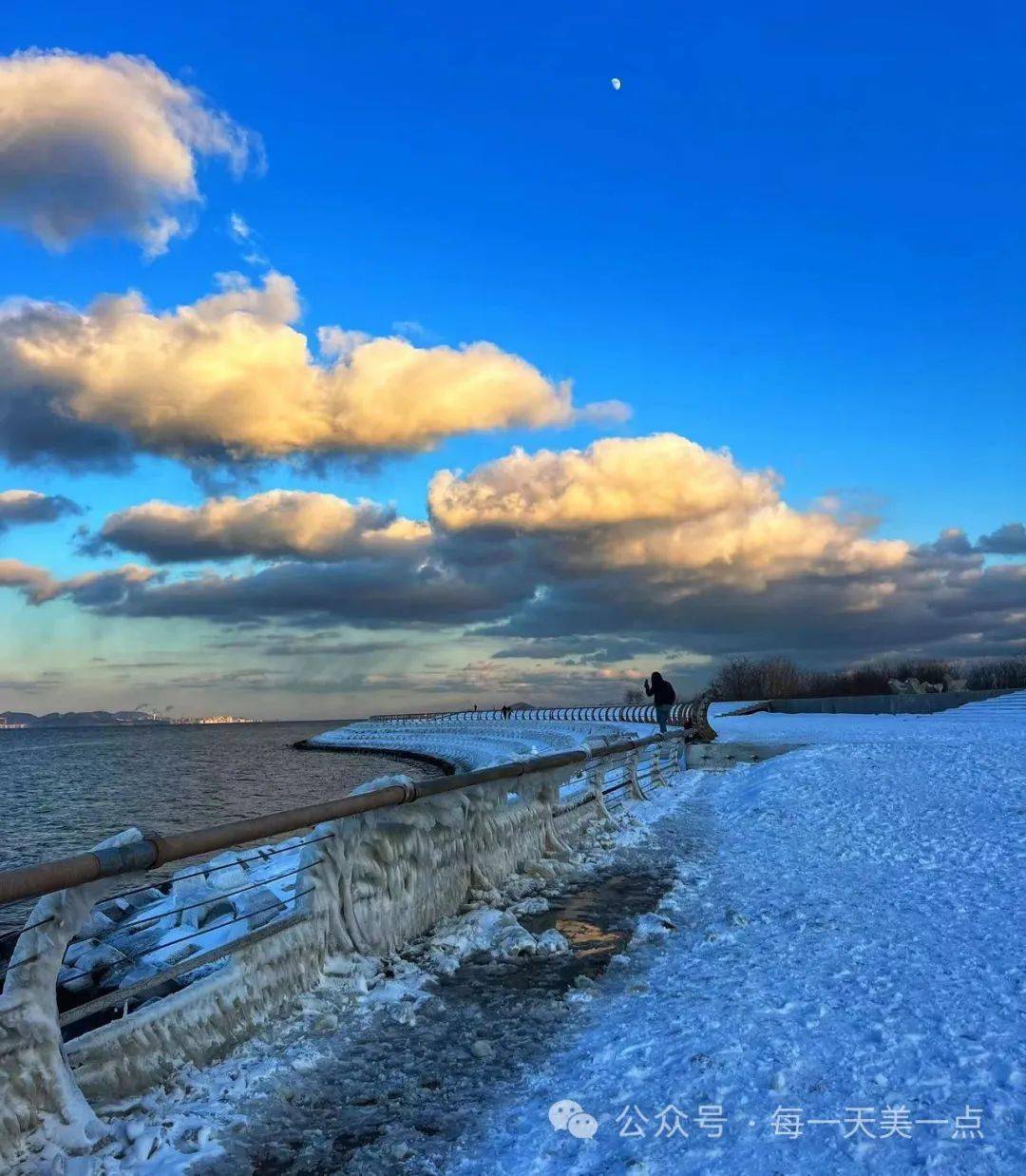 在冬季的大连东港,海水展现出一种静谧而壮美的结冰景象.