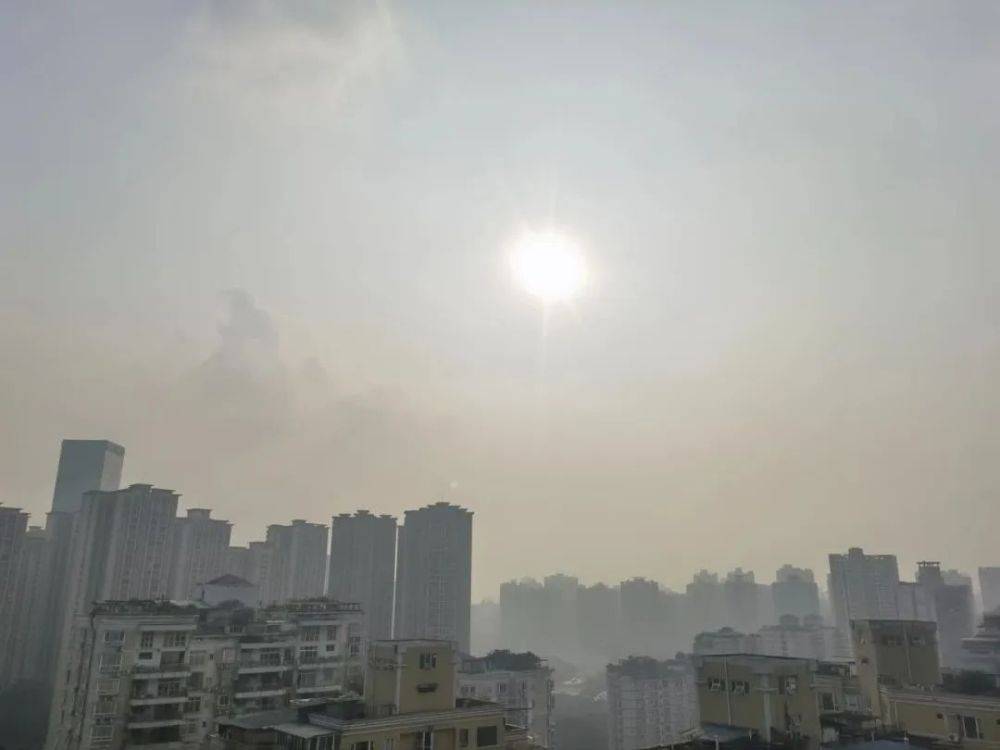 三九將至還會這麼暖嗎?_小雨_多雲_陰天