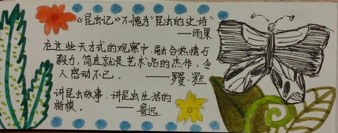 《昆虫记》书腰设计展_作品_文字_同学