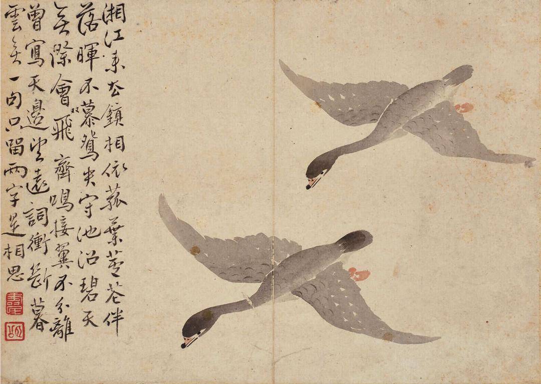 边寿民芦雁图册:浅水平沙落雁群,萧萧芦荻已斜曛_居士_中国_诗词