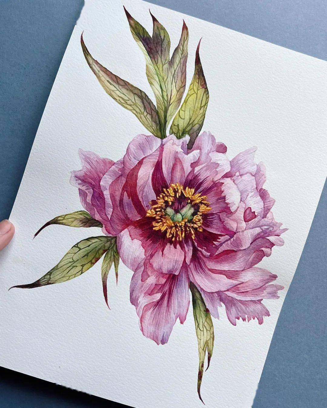 啧啧~每一幅都令人惊叹,这位画家的水彩花卉别具一格_交流_网络_作品