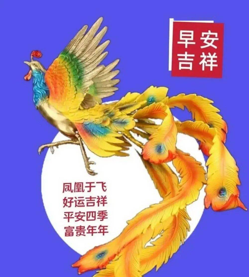 今日新版早上好美图大全,精美早安祝福语问候句子!