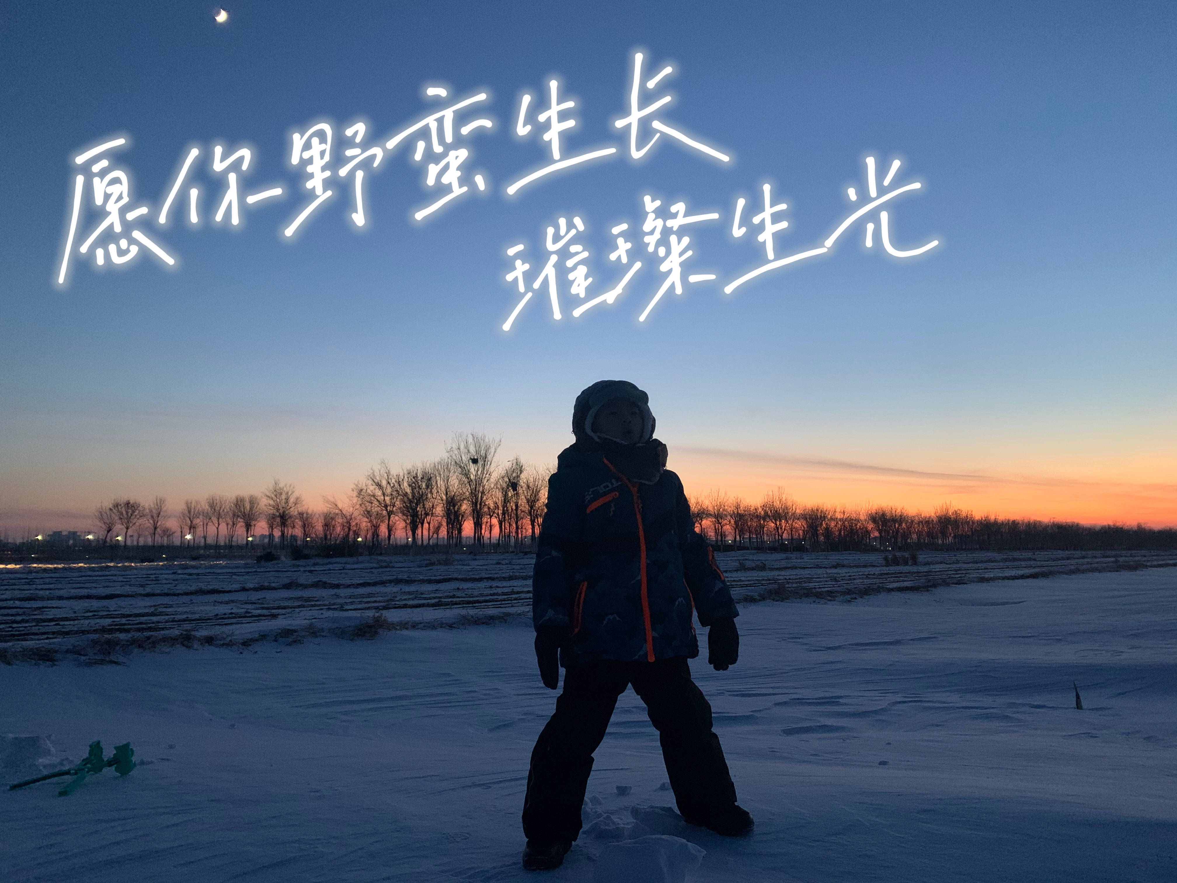 "见行见效 津彩绽放"活动参赛作品:愿你野蛮生长 璀璨生光_静海_尹琳
