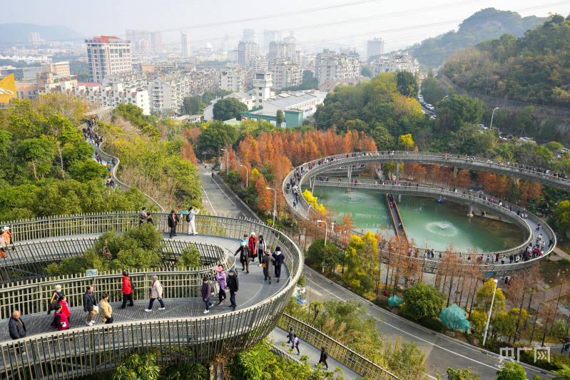 福建福州:冬日"福道 水杉"景色引客来_谢贵明_鼓楼区_市民