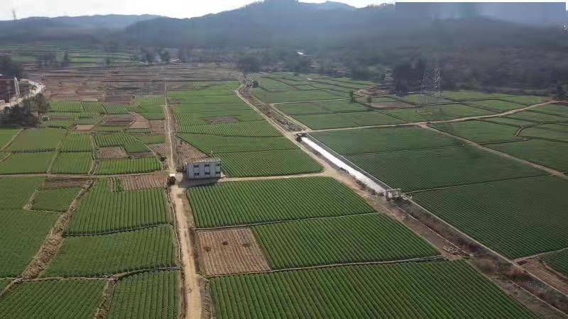 [速看] 涂寨镇山尾村:三个注重全面推进乡村振兴建设_整治_村庄_景观