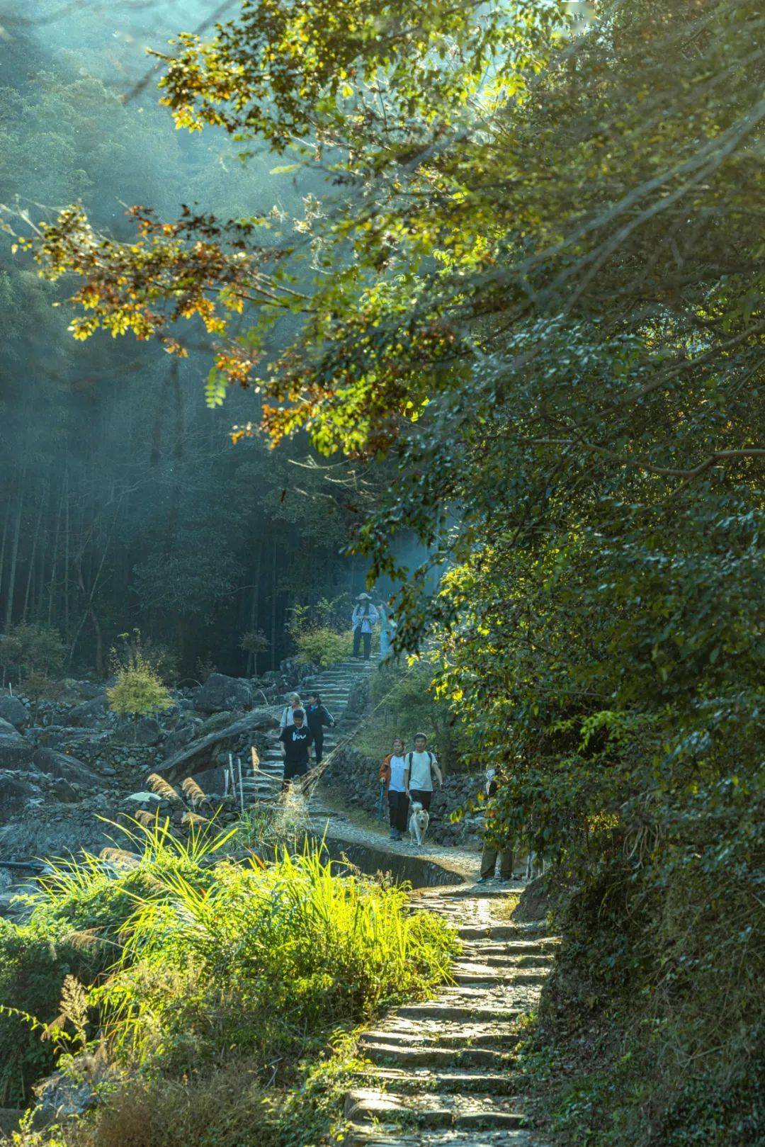 (海曙)霞客古道(寧海段)棲霞坑古道(奉化)芝林古道(餘姚)亭溪嶺古道