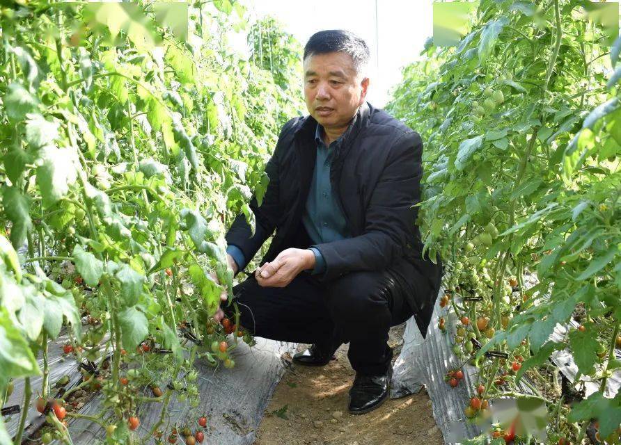 鞠炳锦是我市崔家集镇向阳村党委书记,村委会主任,为我市第九届齐鲁