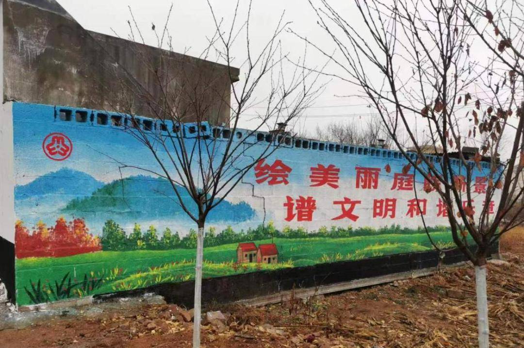 枣庄市山亭区徐庄镇:庭院"小美" 促乡村"大美"_文明_环境_家家