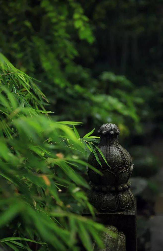 朗誦:走過半生,深深懂得_生活_人生_經歷