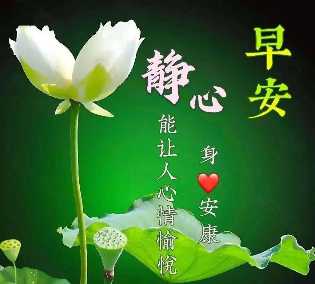 今日最新早安早上好精选,祝福是心愿,牵挂是思念