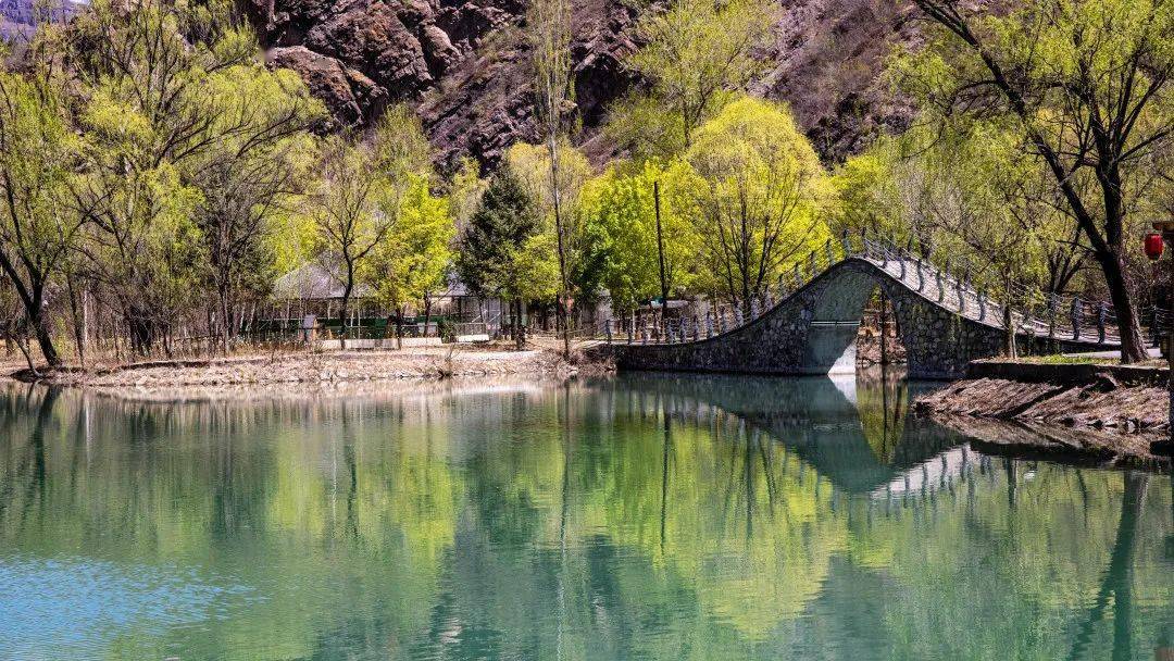 聚焦街乡丨千家店镇:用好gep强引擎,激发高质量绿色发展新动能_服务