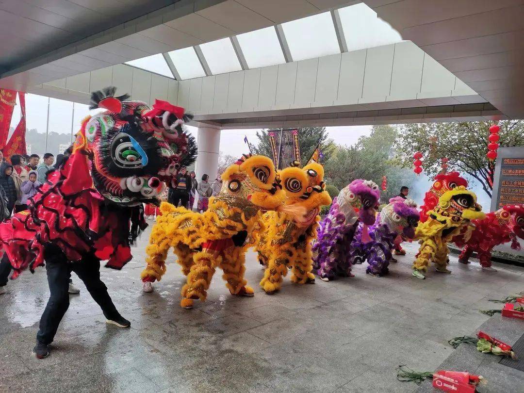 南方小醒獅勇闖哈爾濱,太軟萌了!_江門_鶴山_蔡李