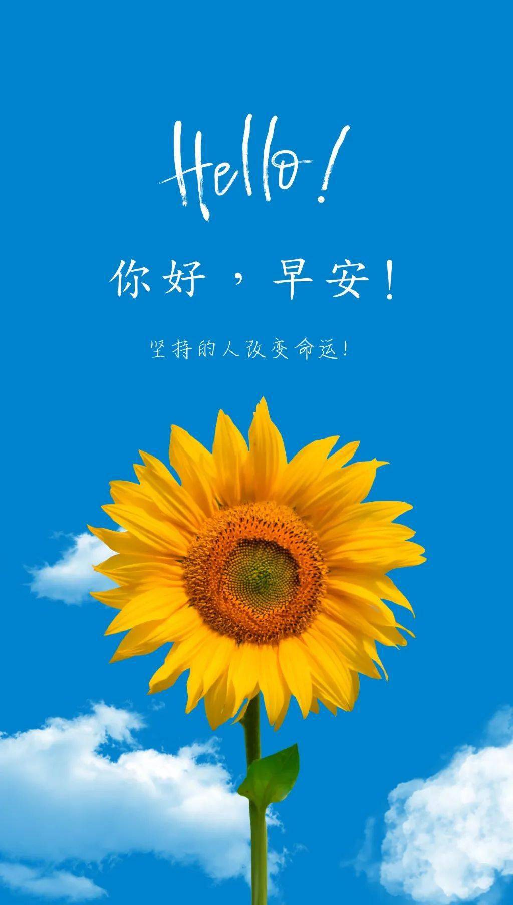 1月11日早安正能量金典语录句子:发光不是太阳的权利,每个人都可以!