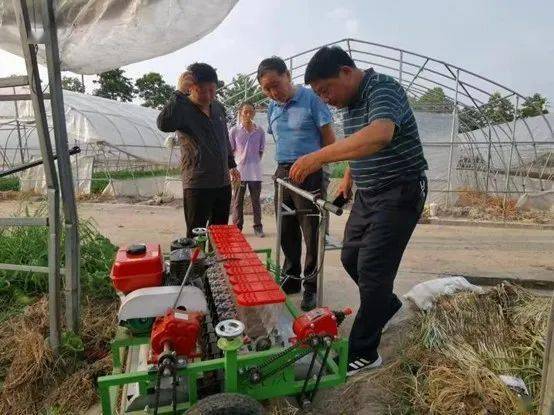 放大名师带徒效应 加强三农人才培养