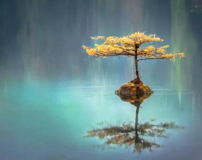 (超经典)_生活_中心_测试