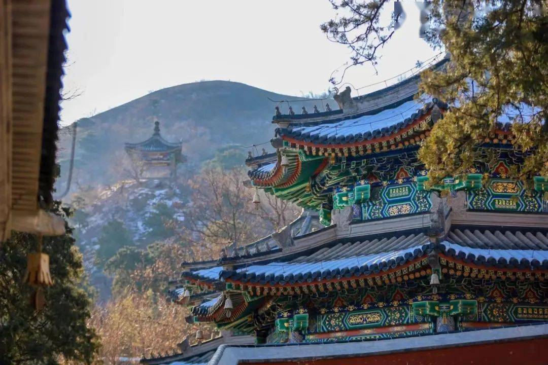 今天夜間有霧,海淀週末風寒效應明顯_氣溫_香山公園_滑冰