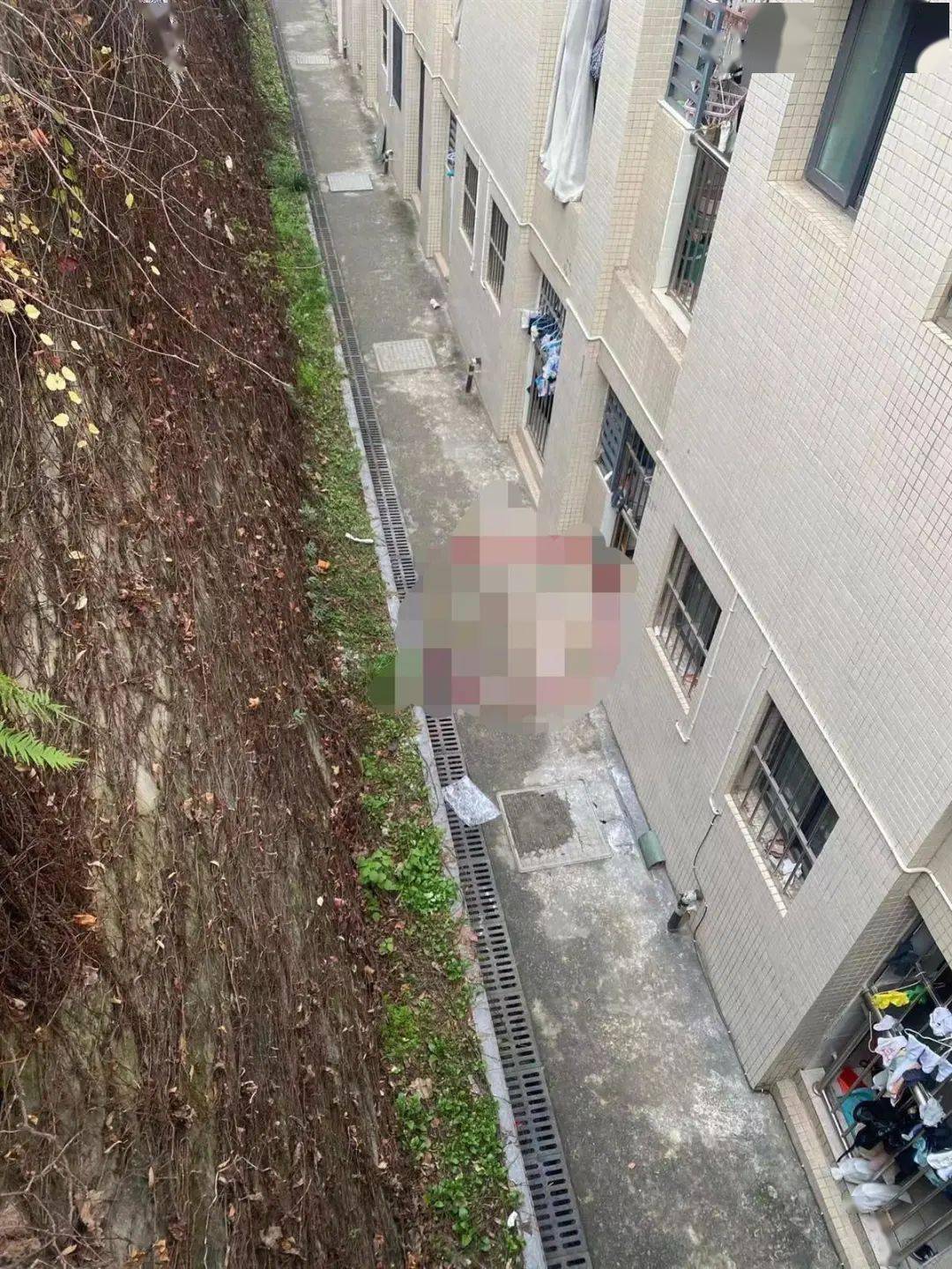 一高校18岁女生凌晨在校内坠亡相关方面回应