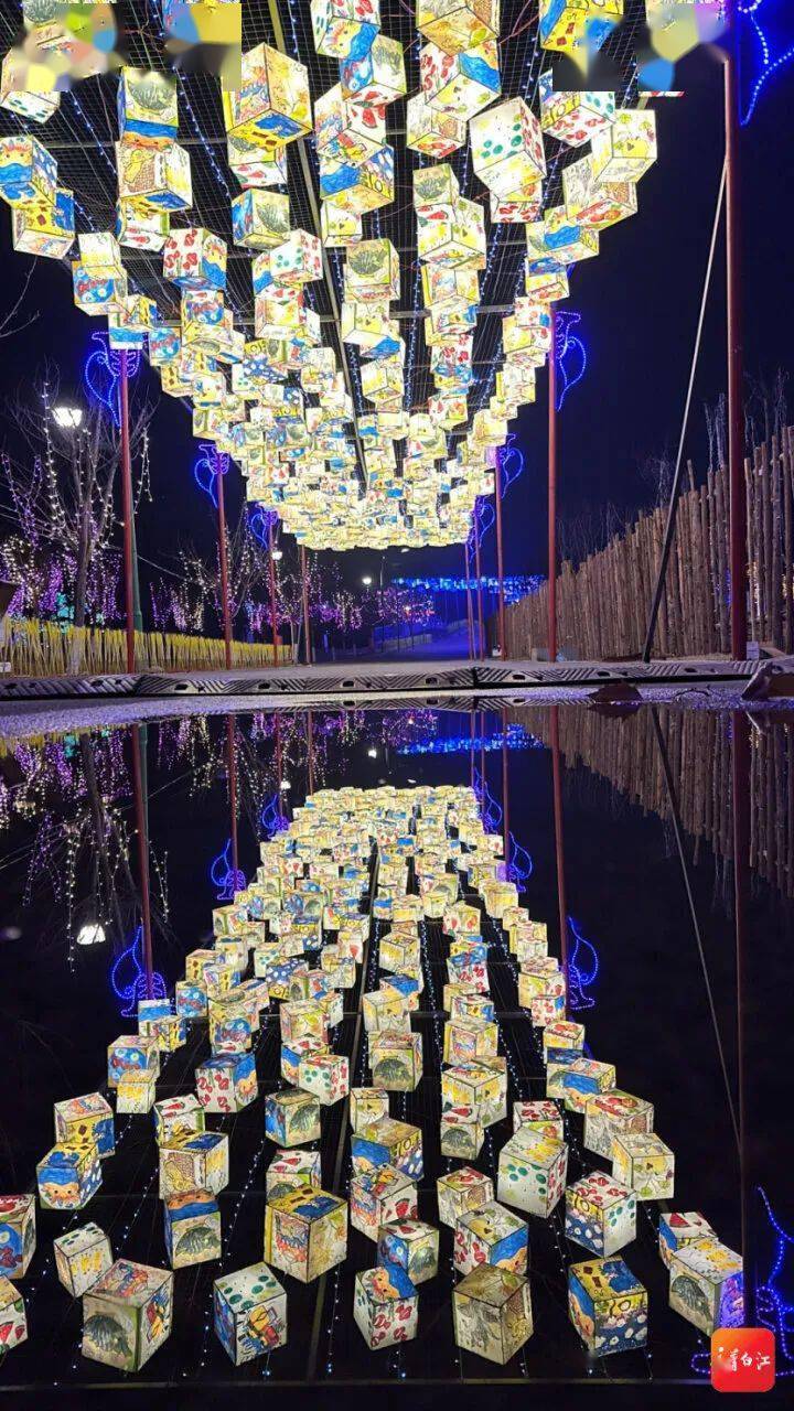 青白江第二届凤凰国际灯会1月18日亮灯!_灯组_池泉苑_市民