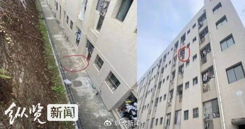 大一女生校内坠亡 公安机关认定系自杀 小楠 重庆 三峡