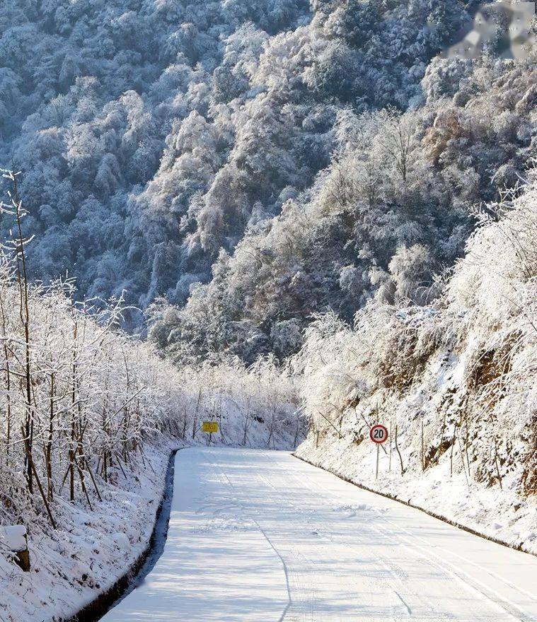 绵阳雪景旅游景点图片