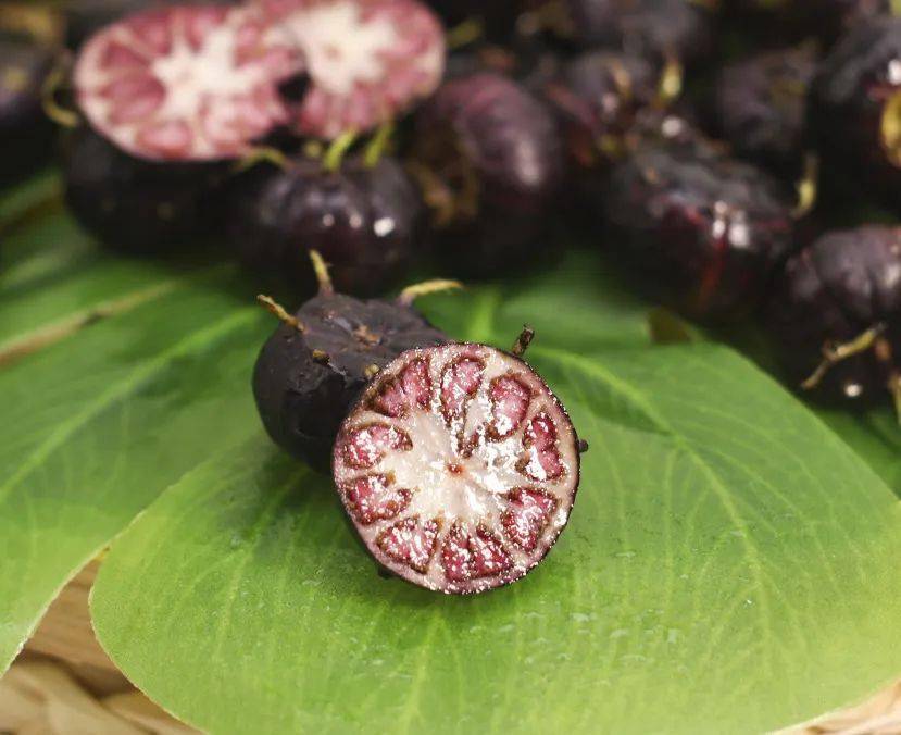 74 长了脚的云南野果?罕见!鲜脆!莓果味爆表!花青素是蓝莓的10倍!