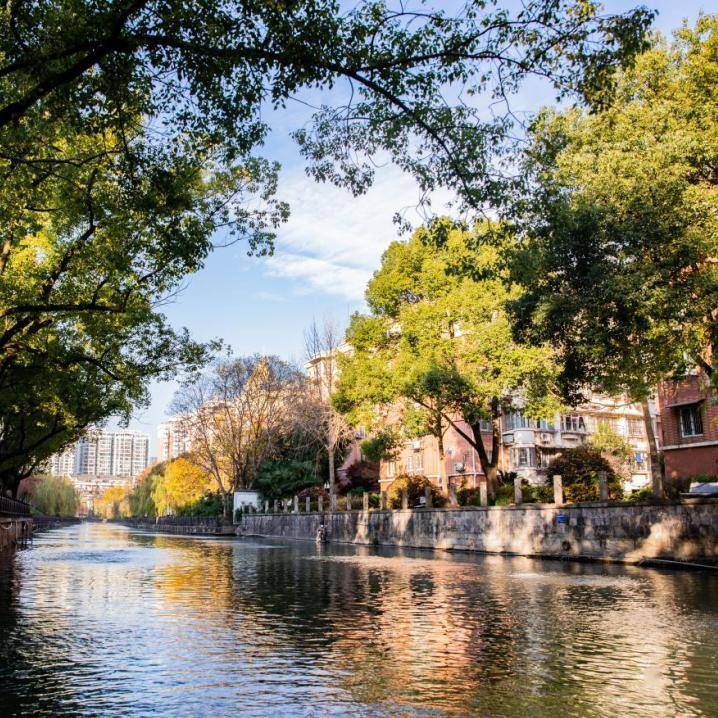 是美麗河湖也是幸福家園~_張河_河道_水質