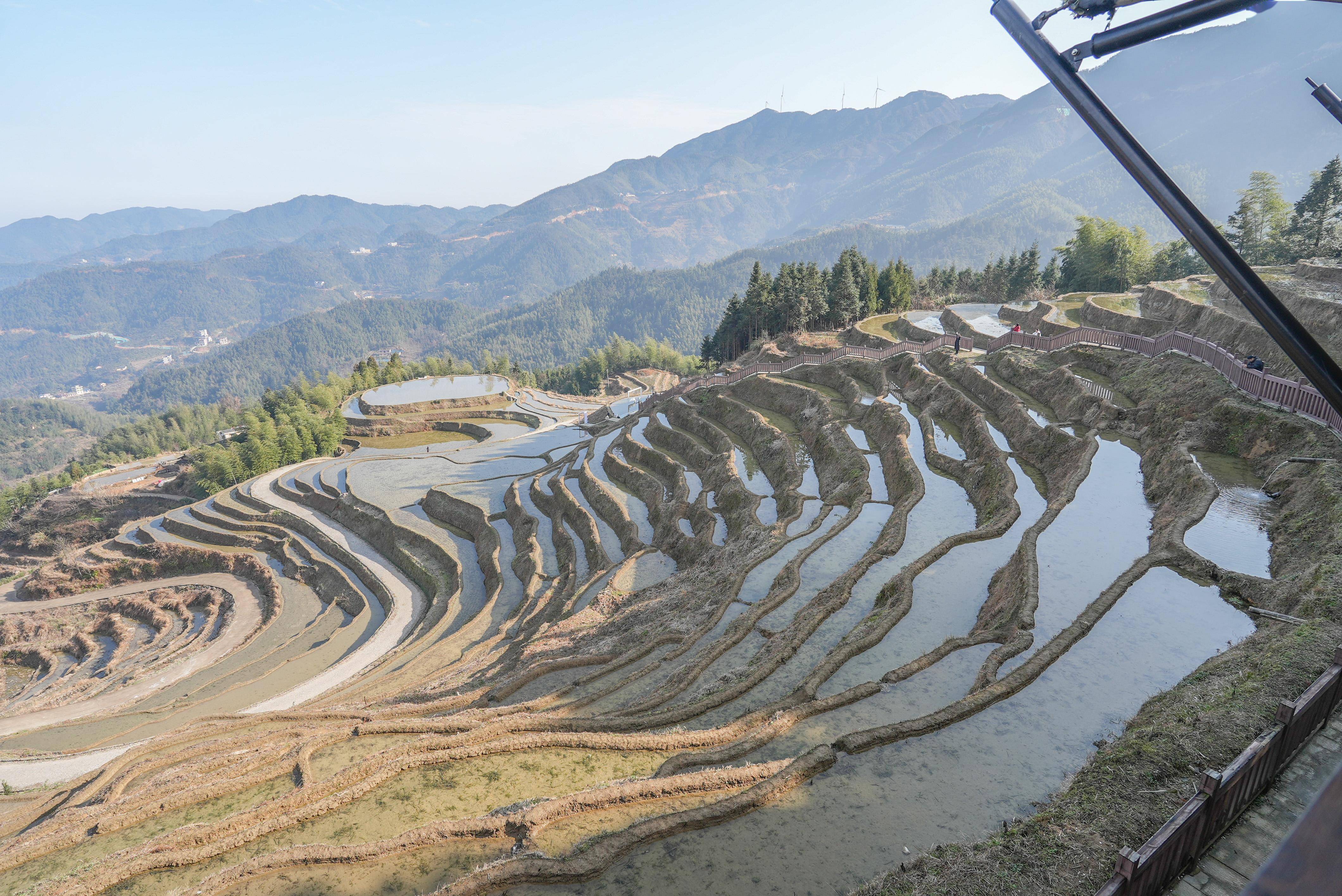 遂川桃源梯田门票图片