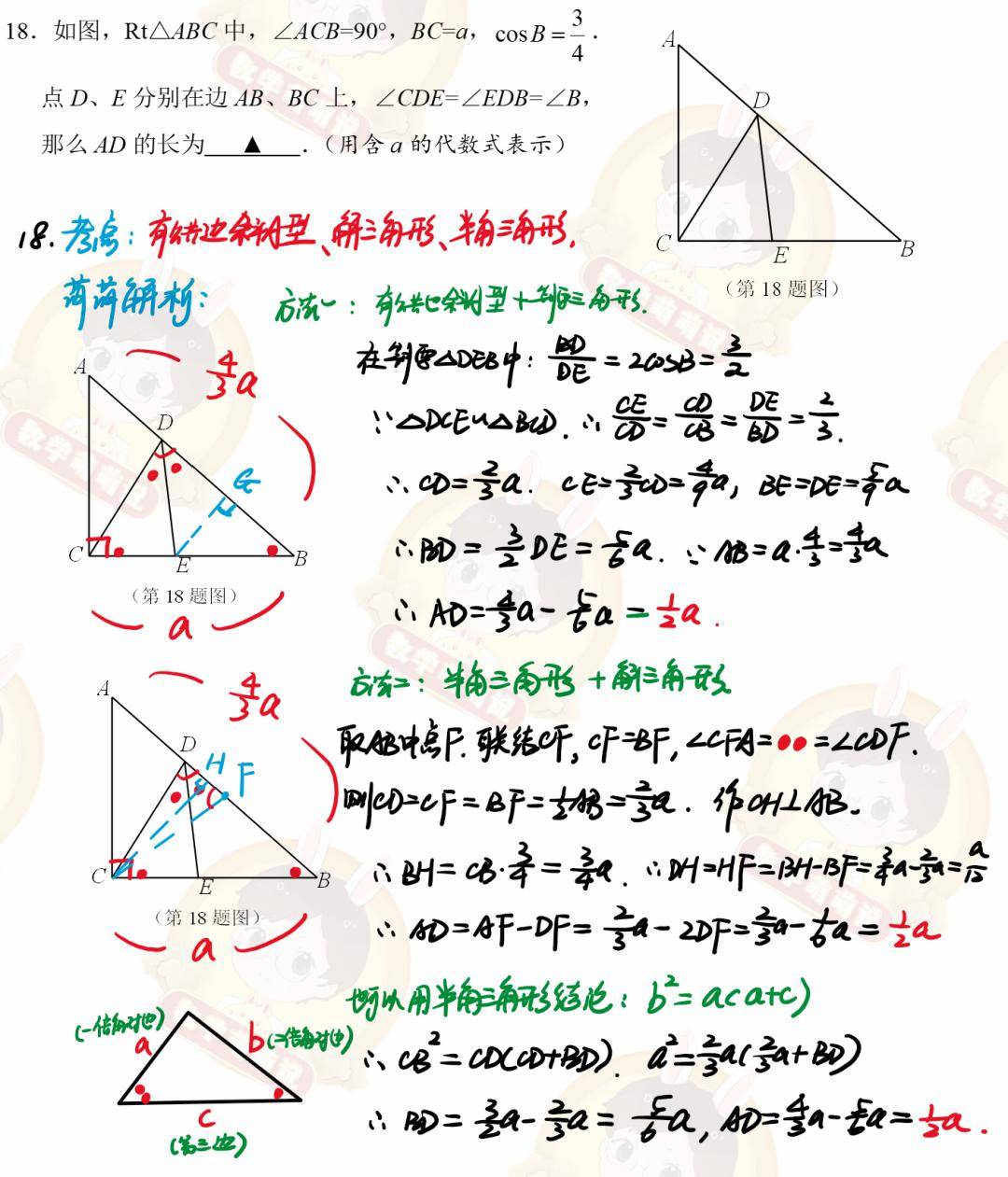 第一時間解析2024靜安一模數學卷_問題_三角_難度