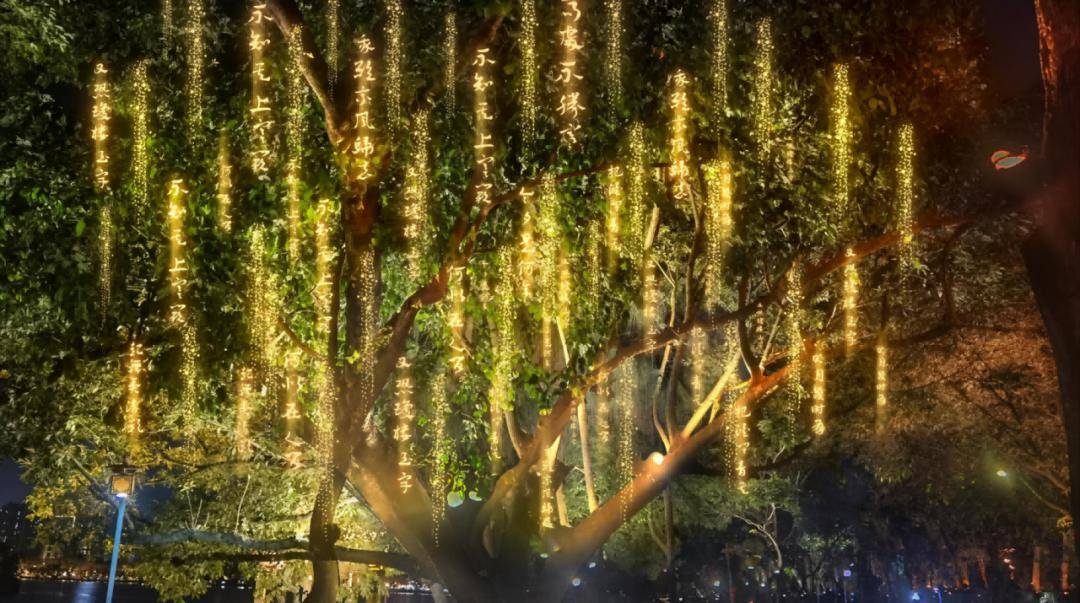 西湖花灯回归!_惠州_东坡_灯会