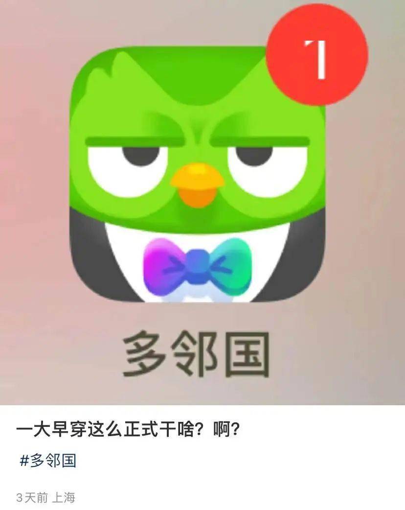 小绿鸟表情包软件下载图片