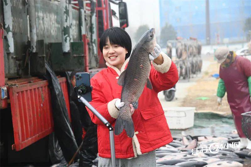 淮安:网上直播销售青鱼(特约摄影潘正光10:02摄 15:25上线)1月14日