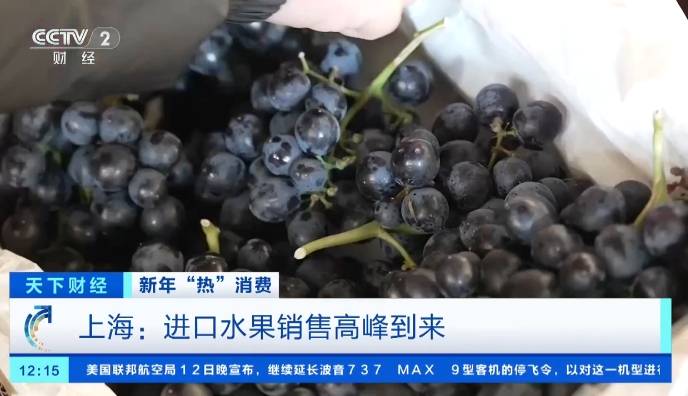 完美电竞车厘子卖爆了！记者探访华东地区规模最大进口水果批发市场(图5)
