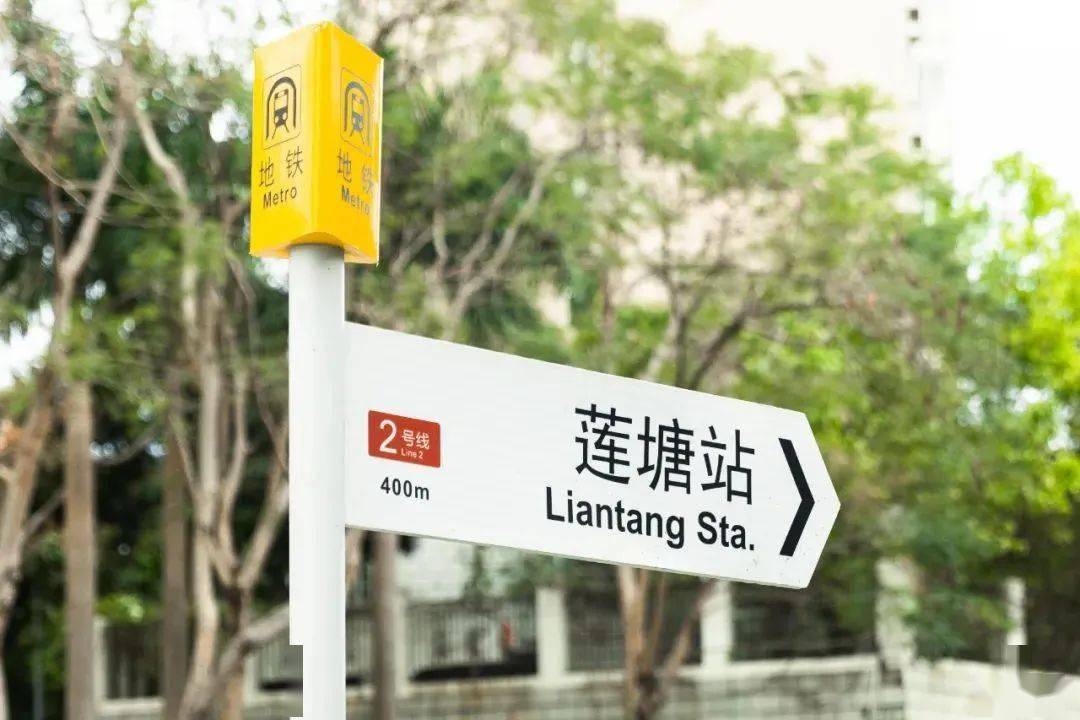 "好久不见,香港朋友爱逛的莲塘"_深圳_口岸_仙湖植物园